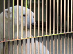 【蔵出し】ピース