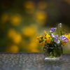 Little Garden