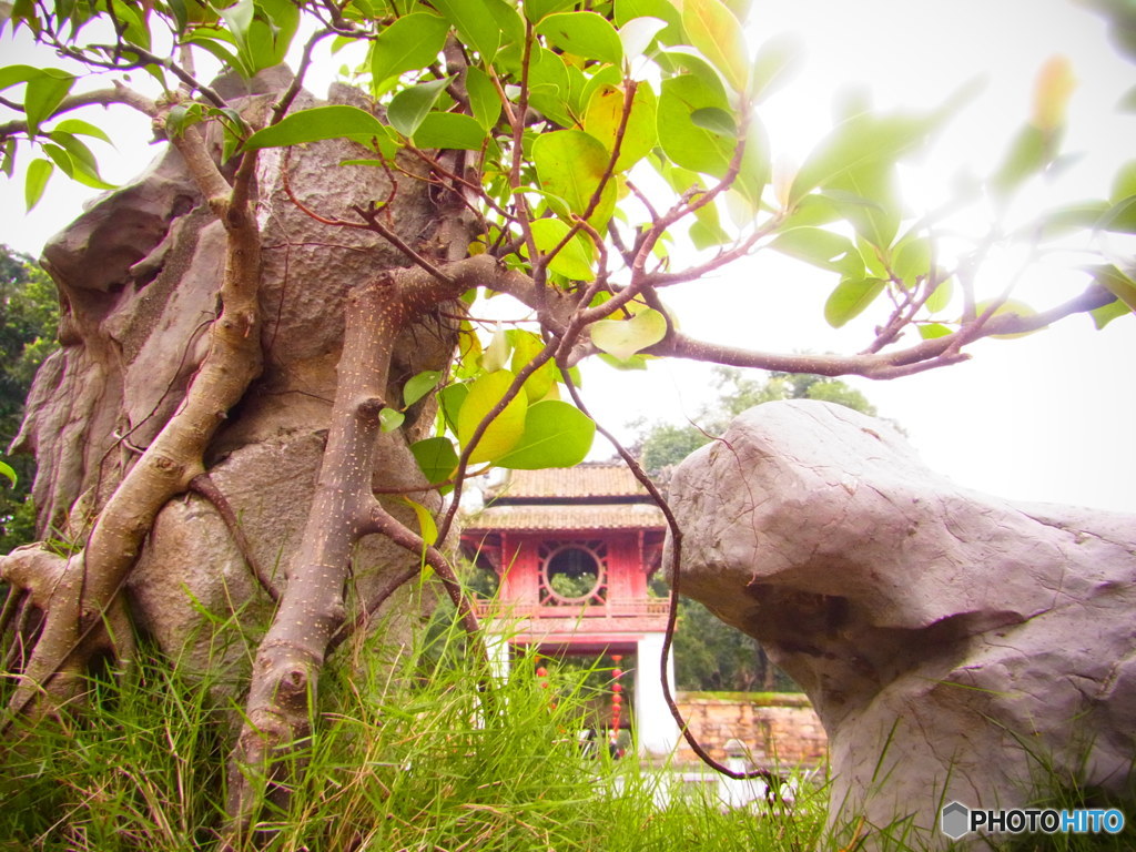 Temple of Literature, Hanoi