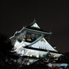 大阪城