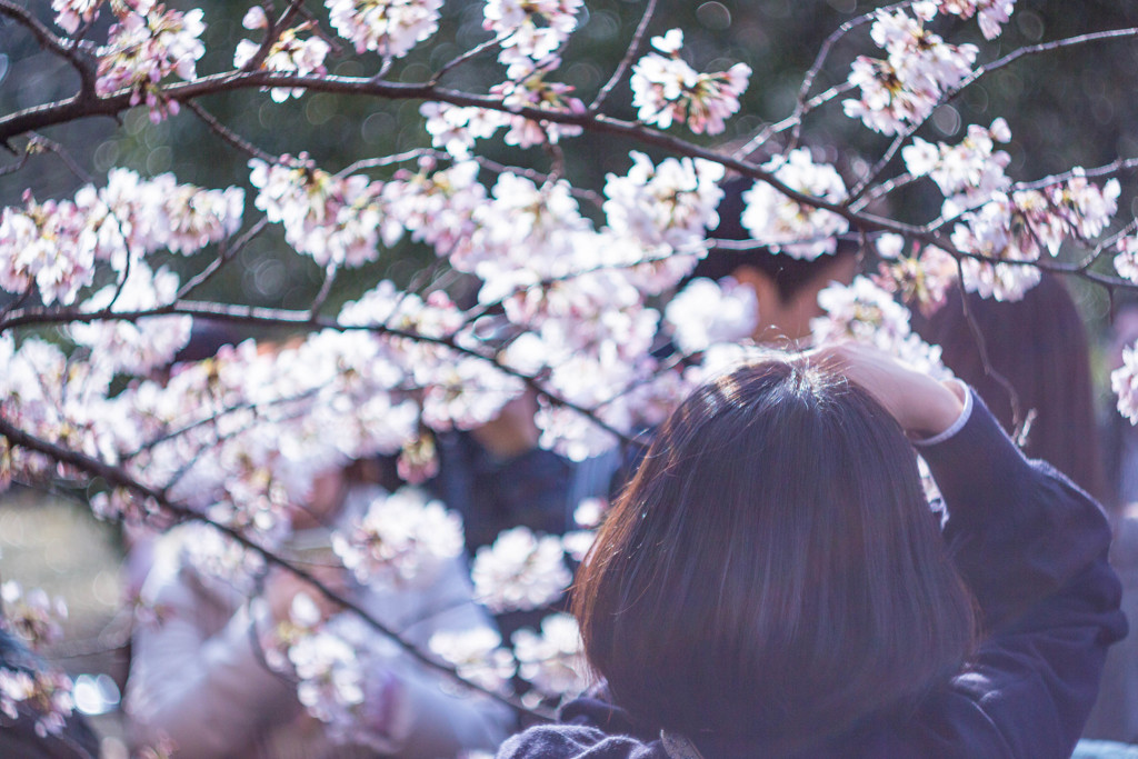 cherrygirl