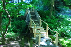 森の階段