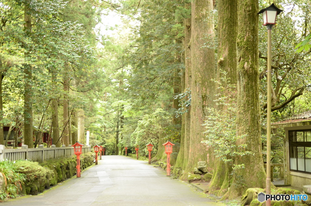 箱根神社