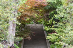 お散歩　in　葛城一言主神社