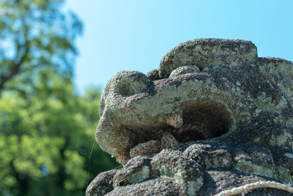 お散歩 in 鴨都波神社