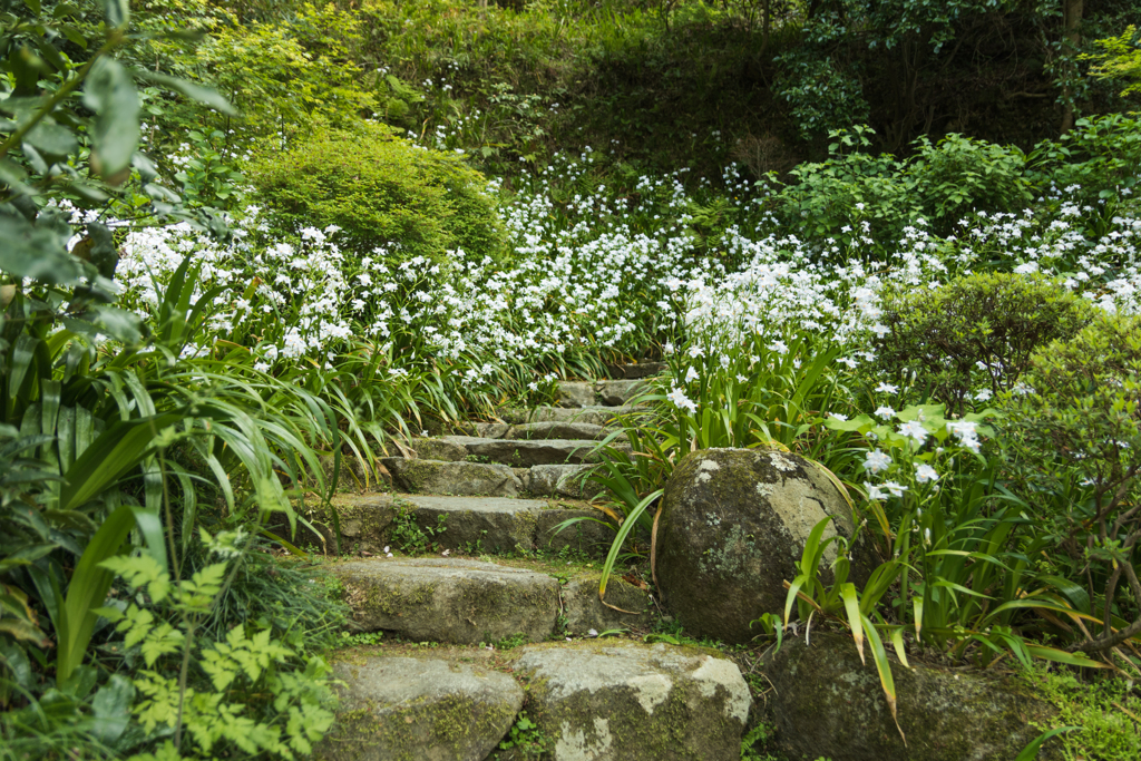 お散歩 in　岡寺