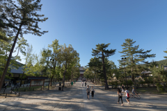 お散歩　in　東大寺