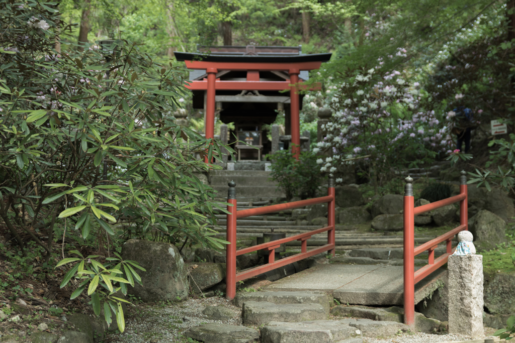 お散歩 in　岡寺