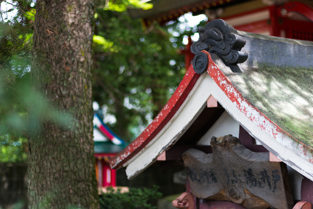 お散歩　in　吉祥草寺