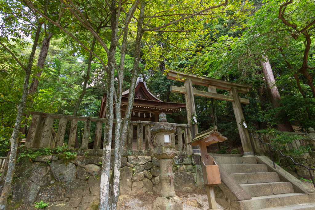 お散歩　in　石上神宮