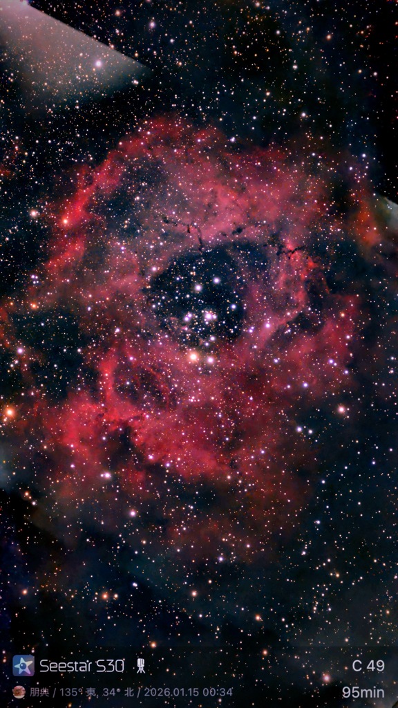 C49  Rosette Nebula