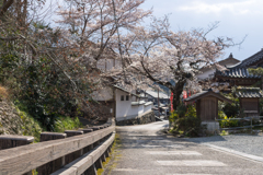 お散歩　in　明日香村