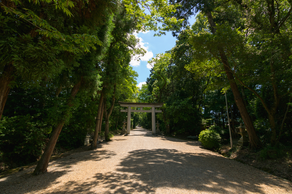 お散歩　in　大和神社
