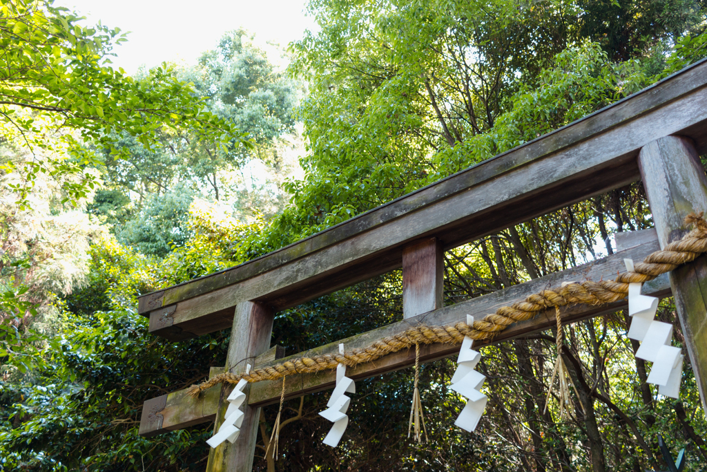 お散歩 in 鴨都波神社