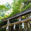 お散歩 in 鴨都波神社