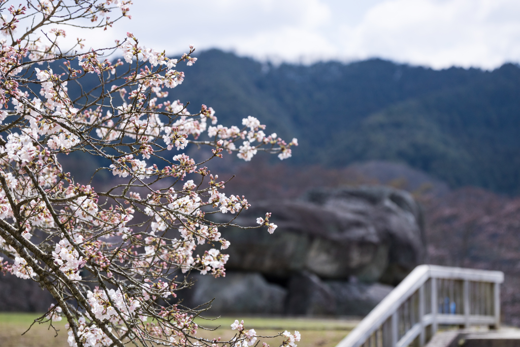 お散歩　in  明日香村