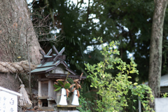 お散歩　in　吉祥草寺