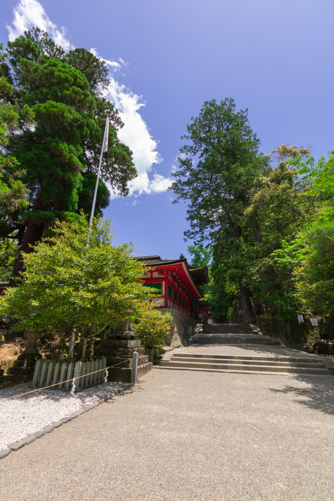 お散歩　in　石上神宮