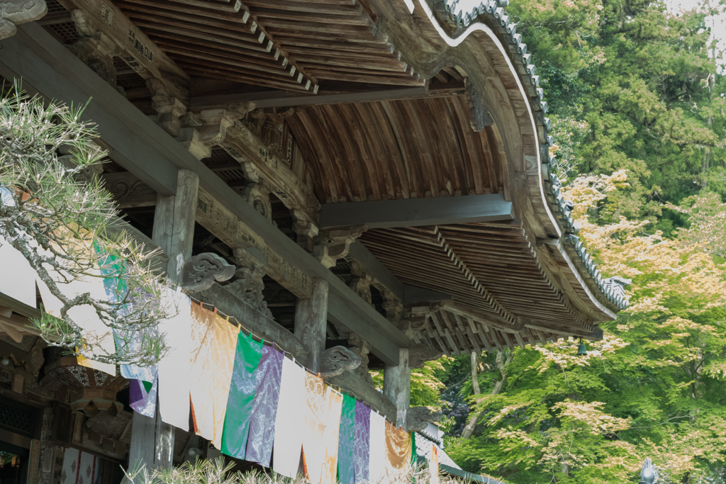 お散歩 in　岡寺