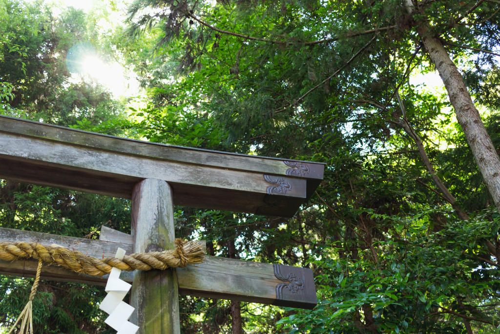 お散歩 in 鴨都波神社