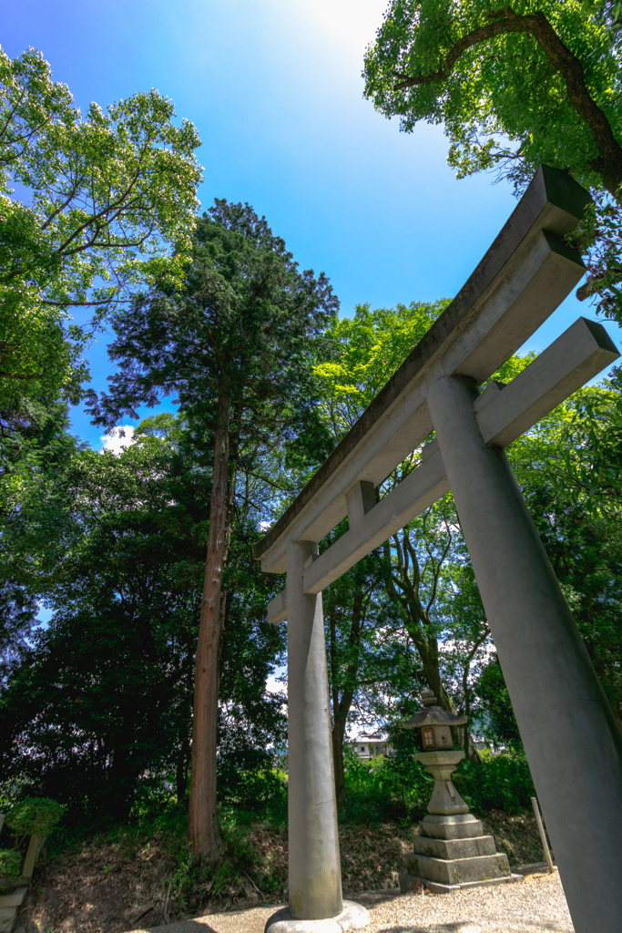 お散歩　in　大和神社