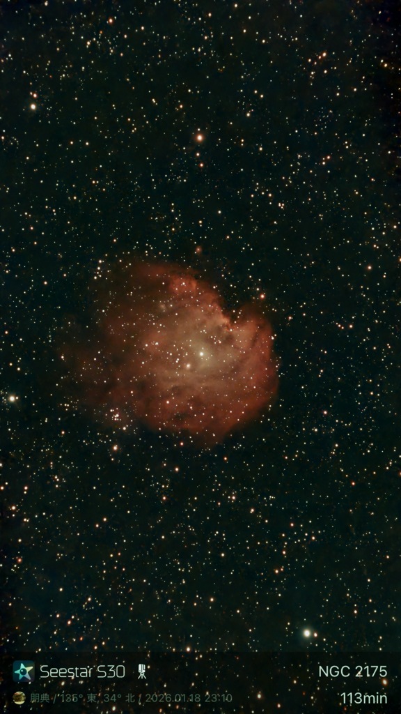 NGC 2174  Monkey Head Nebula