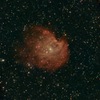 NGC 2174  Monkey Head Nebula