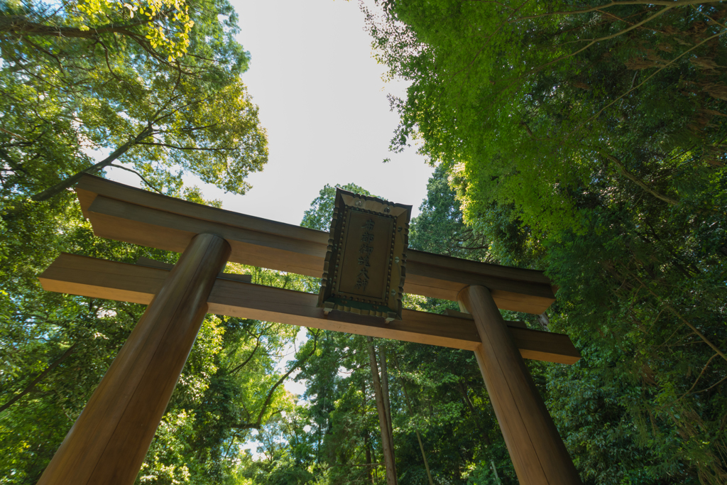 お散歩　in　石上神宮