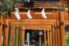 お散歩　in　葛城一言主神社