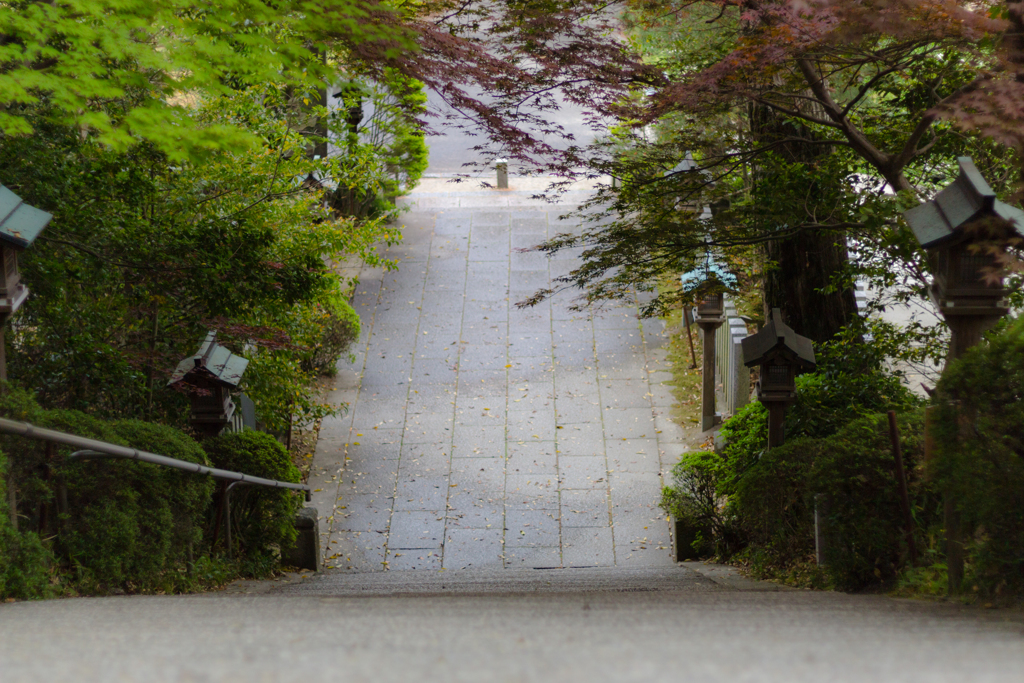 お散歩　in　葛城一言主神社