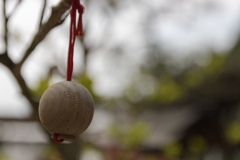 お散歩 in　岡寺