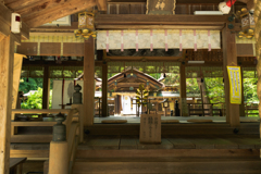 お散歩　in　大和神社