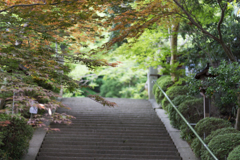 お散歩　in　葛城一言主神社