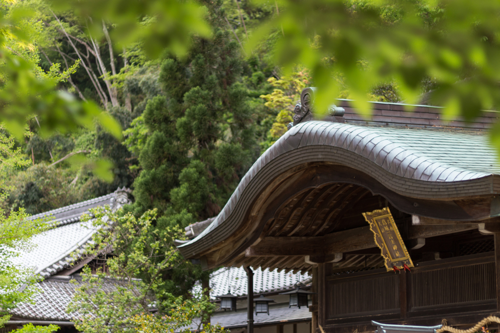 お散歩　in　葛城一言主神社