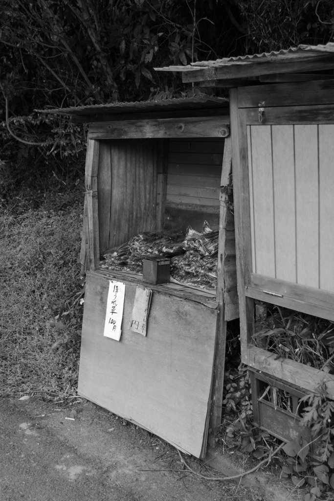 お散歩 in　岡寺