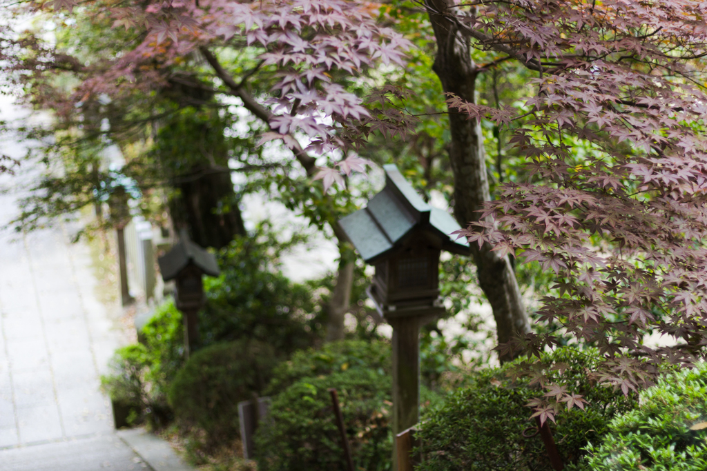 お散歩　in　葛城一言主神社