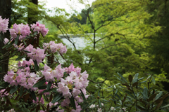 お散歩 in　岡寺