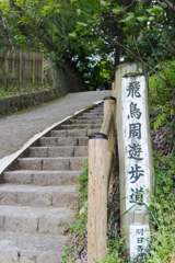 お散歩 in　岡寺