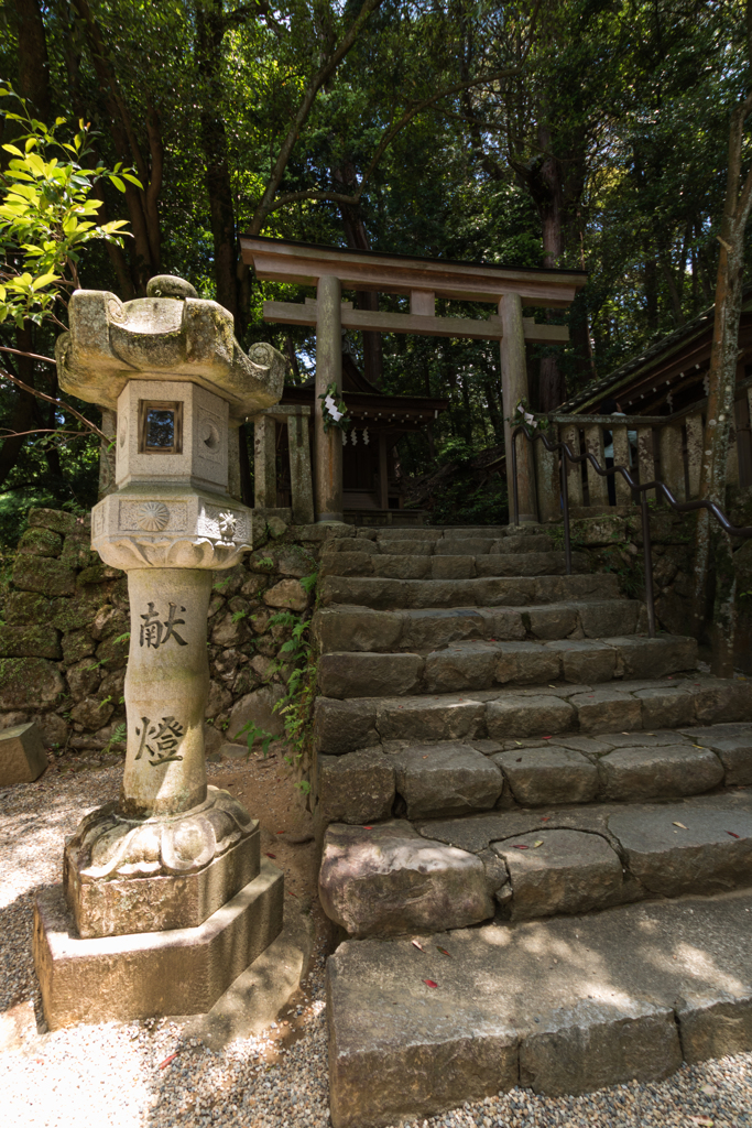 お散歩　in　石上神宮