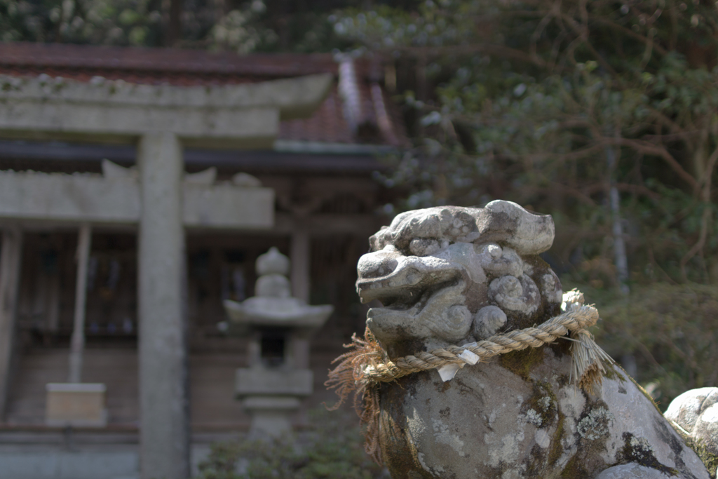 お散歩　in 高天彦神社　②