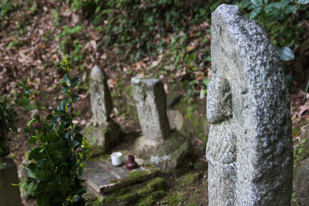 お散歩 in　岡寺