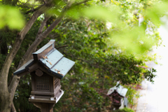 お散歩　in　葛城一言主神社