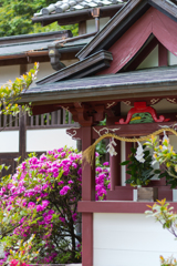 お散歩　in　葛城一言主神社