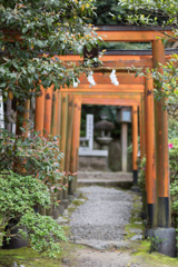 お散歩　in　葛城一言主神社