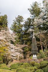 お散歩　in　明日香村