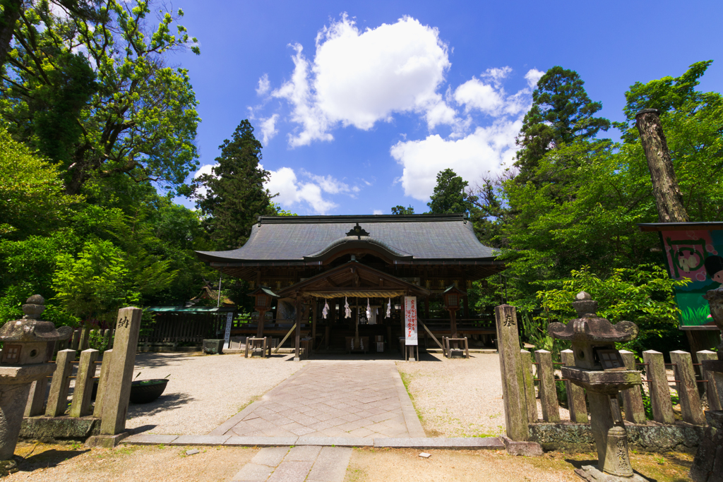 お散歩　in　大和神社