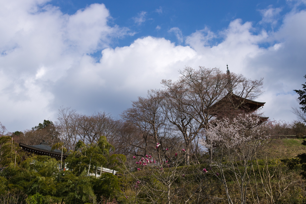 お散歩　in　明日香村