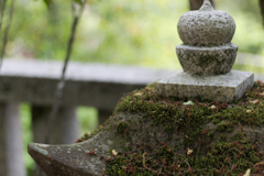 お散歩　in　葛城一言主神社