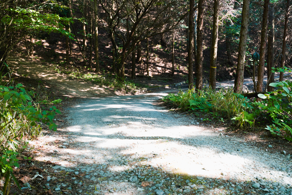 お散歩 in　葛城山