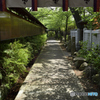 阿倍野神社